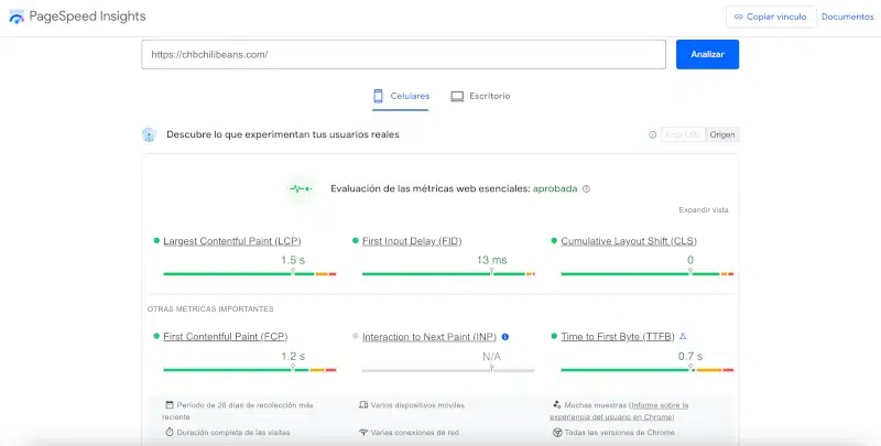 pagespeed caso real medidores ultimos 28 dias