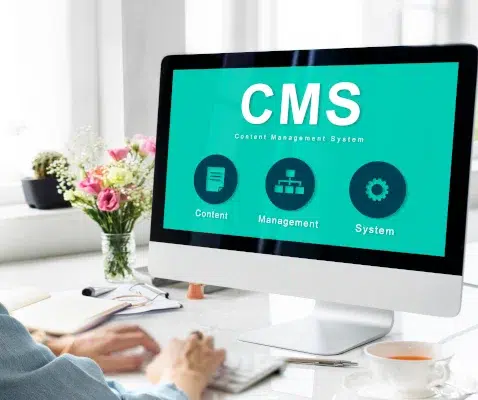 cms para tu tienda online